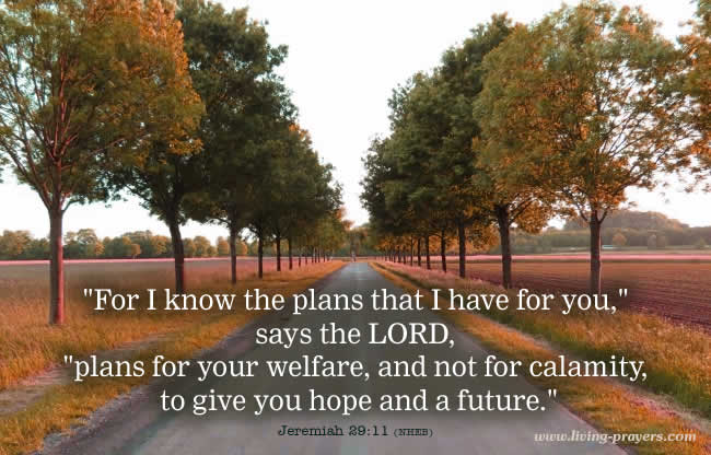 bible quote about the plans of God with trees and road in background